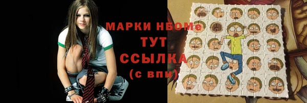 гашик Михайлов