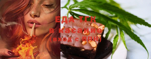 гашик Михайлов