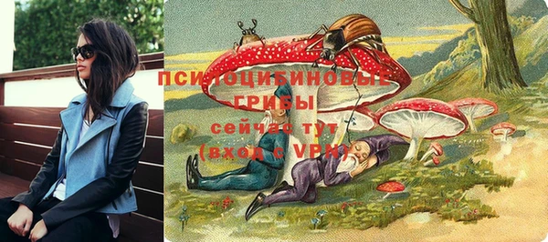 PSILOCYBIN Медногорск