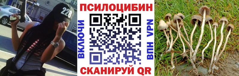 Псилоцибиновые грибы Magic Shrooms  Купить закладки  Нижний Новгород 